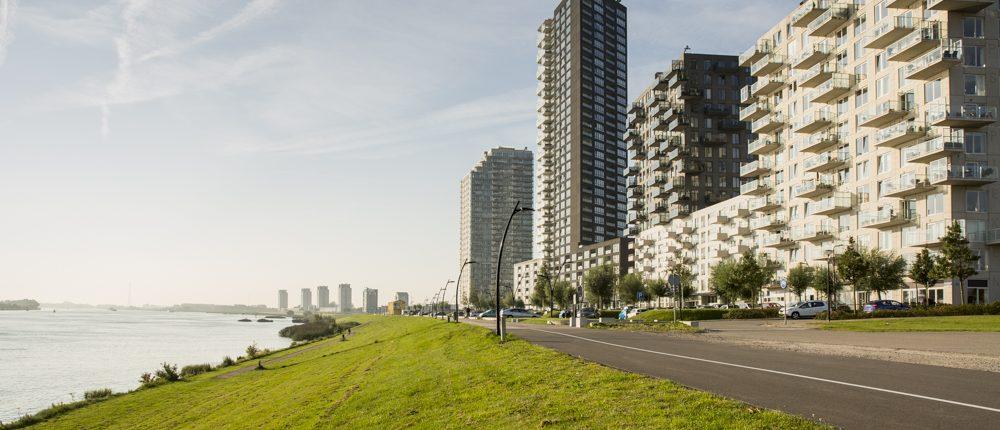 fysiotherapie rijnmond spijkenisse-de-elementen